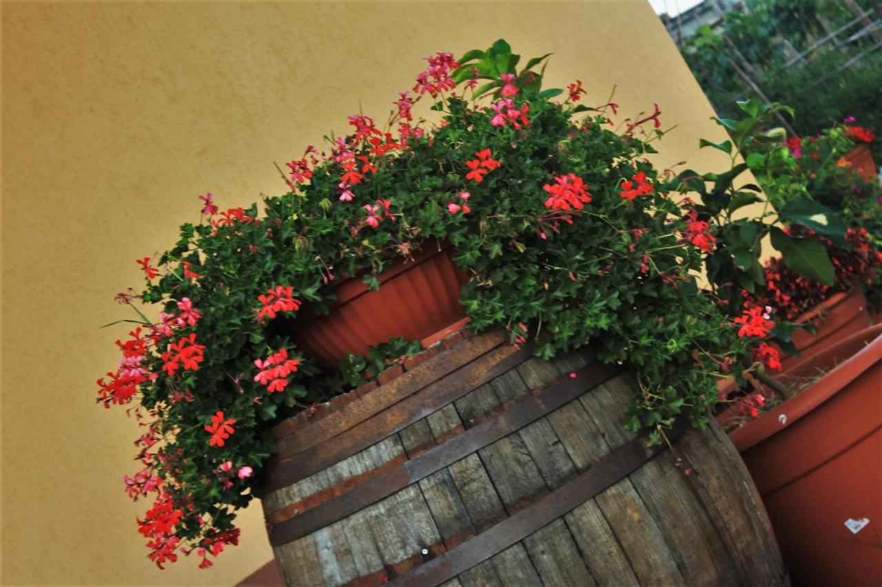 Bed and Breakfast Mansarda Fiorita Abatemarco Exterior foto